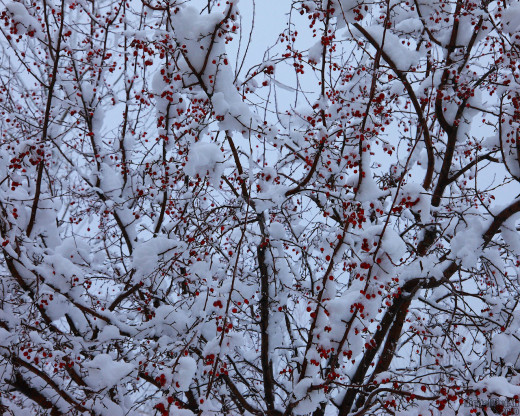 47903 (a): :1280x1024